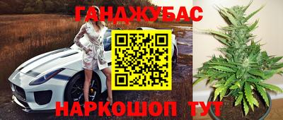 твердый Гай
