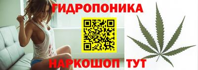 ПСИЛОЦИБИНОВЫЕ ГРИБЫ Гагарин