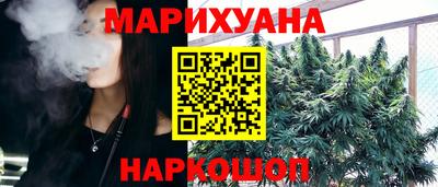 прущие грибы Гатчина