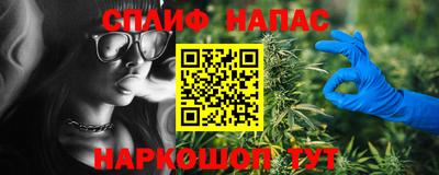 прущие грибы Гатчина