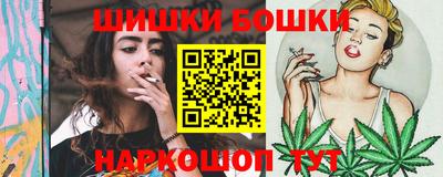 прущие грибы Гатчина