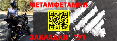 прущие грибы Гатчина