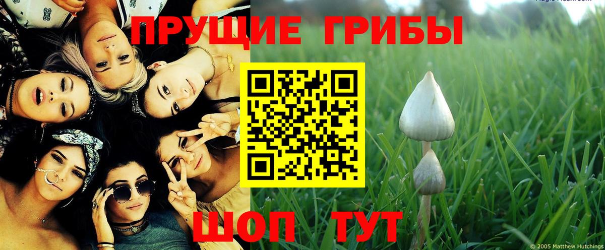 Псилоцибиновые грибы MAGIC MUSHROOMS Новый Уренгой