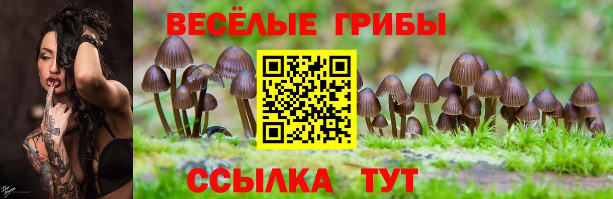 Новый Уренгой  Псилоцибиновые грибы Cubensis  Вход с VPN  Галлюциногенные грибы мицелий 